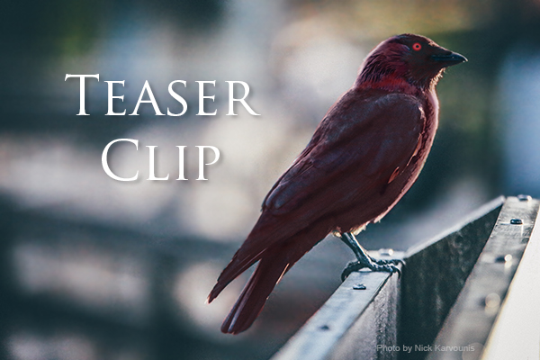 redraven-silverteaser600